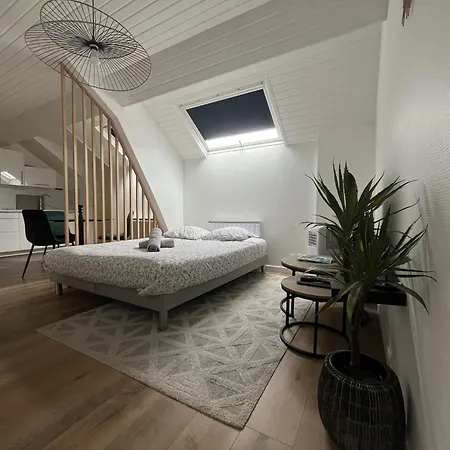 Apartamento Coeur De - Angers